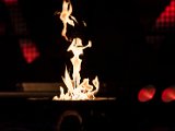 IMG_1015-2.jpg