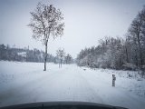 20181215_115321(0).JPG