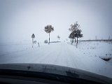 20181215_115451.JPG