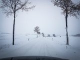 20181215_115526.JPG
