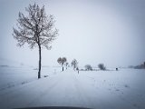 20181215_115530.JPG