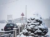20181215_120909.JPG