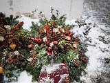 20181215_144607.JPG
