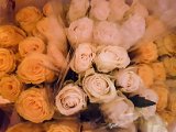 20181222_223424.JPG