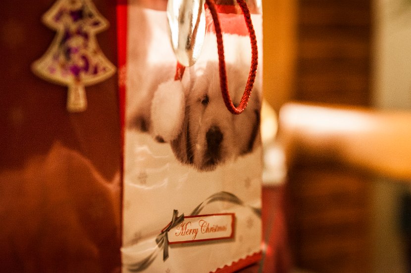 IMG_0261