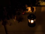 IMG_0087.jpg