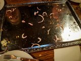 20181019_185005.JPG