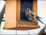 IMG_4048_jpg_small.jpg