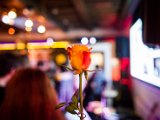 IMG_0245.jpg
