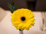 IMG_0016.jpg