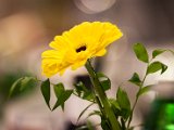 IMG_0072.jpg