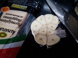 20190309_114514.JPG