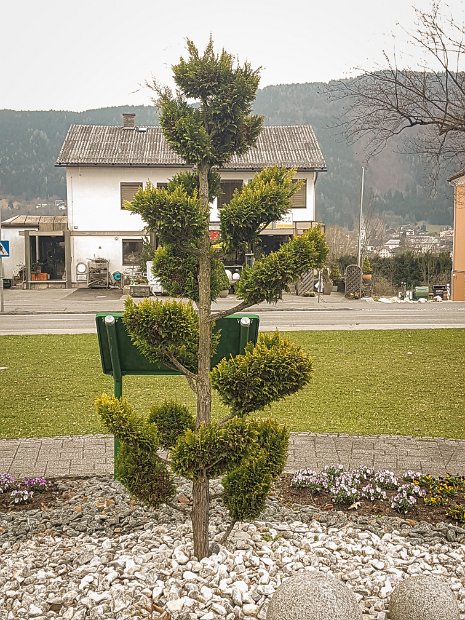 20190404_125156-2