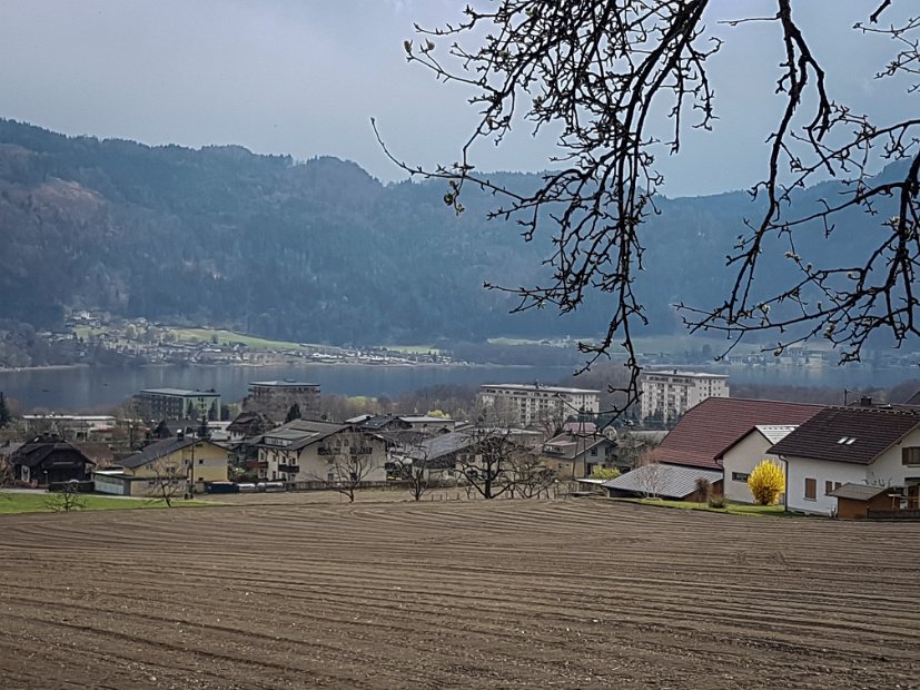 20190404_144417-2