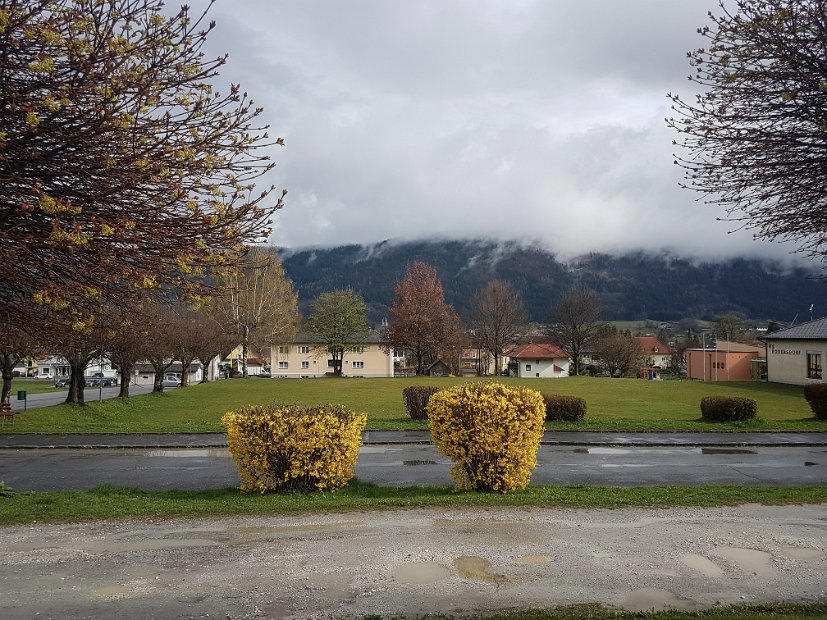 20190405_160204-2