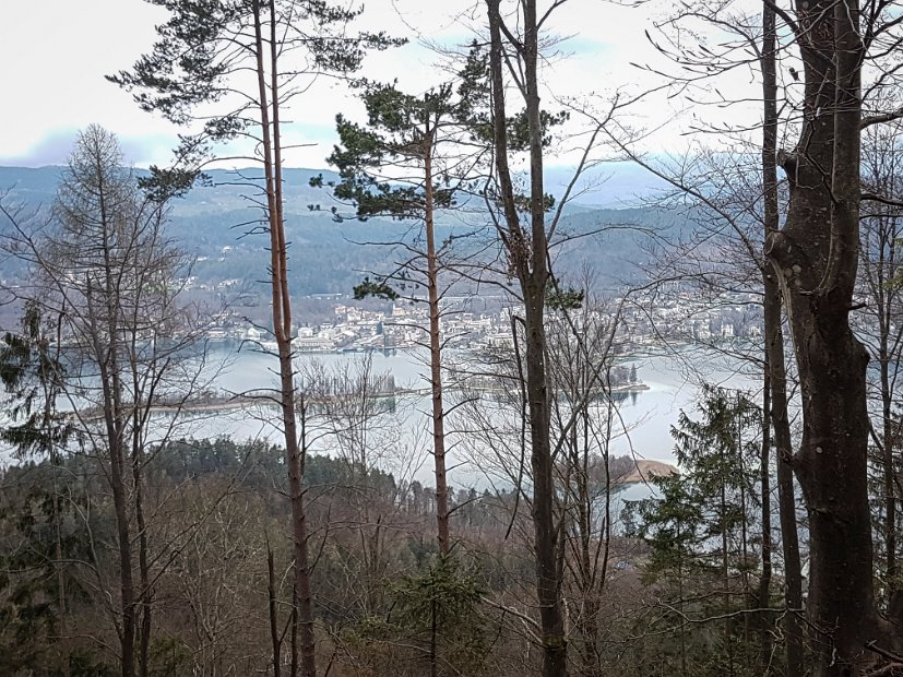 20190406_133022-2