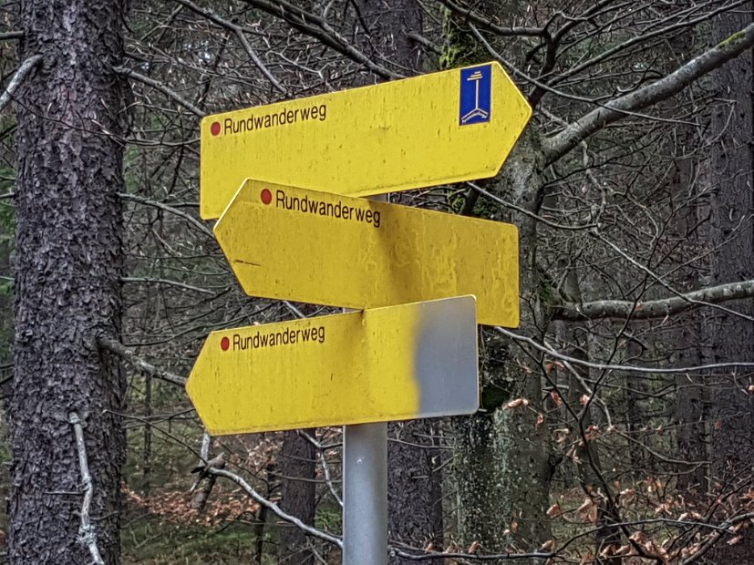 20190406_162611-2