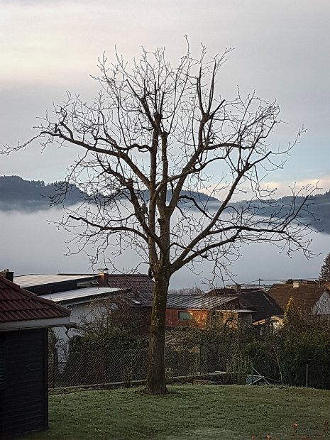 20190407_070316(0)-2