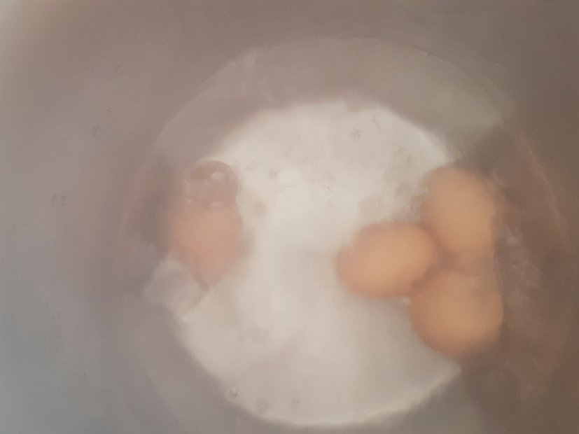 20190407_124458(0)-2