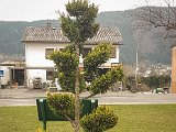20190404_125156-2.JPG