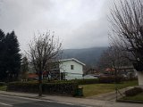 20190404_125503(0)-2.JPG