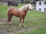 20190404_145538-2.JPG