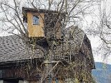 20190404_150327(0)-2.JPG