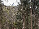 20190406_130821-2.JPG