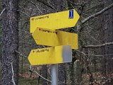 20190406_162611-2.JPG