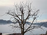 20190407_070316(0)-2.JPG