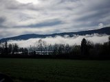 20190407_091146-2.JPG