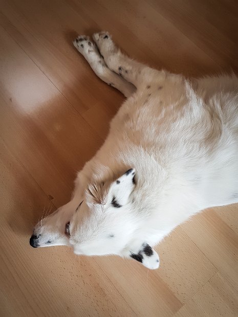 20190504_131850