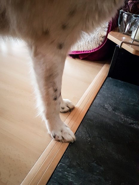 20190504_175203