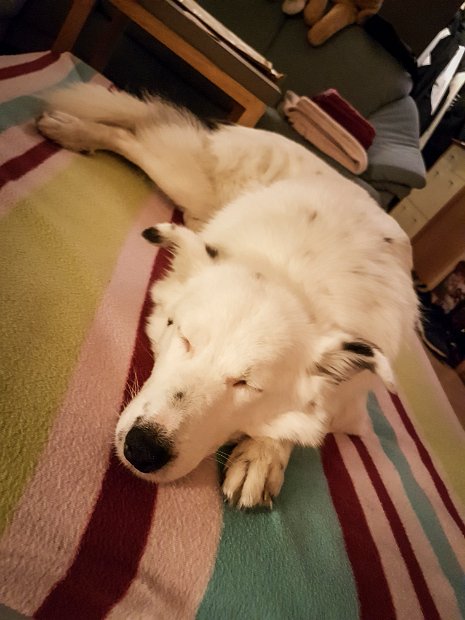 20190504_210320