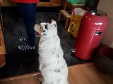20190504_123259(0)_Keana.JPG