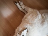 20190504_131850.JPG