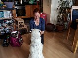 20190504_142158.JPG