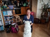 20190504_142203.JPG