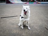 20190504_152650.JPG