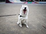 20190504_152651.JPG
