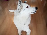 20190504_165639.JPG