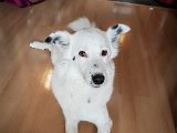 20190504_165642.JPG