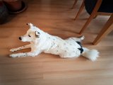 20190504_174929.JPG