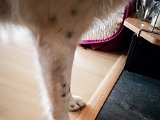20190504_175203.JPG