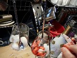 20190504_175247.JPG