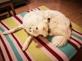 20190504_202832.JPG