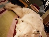 20190504_210320.JPG