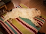 20190504_211814_Keana.JPG