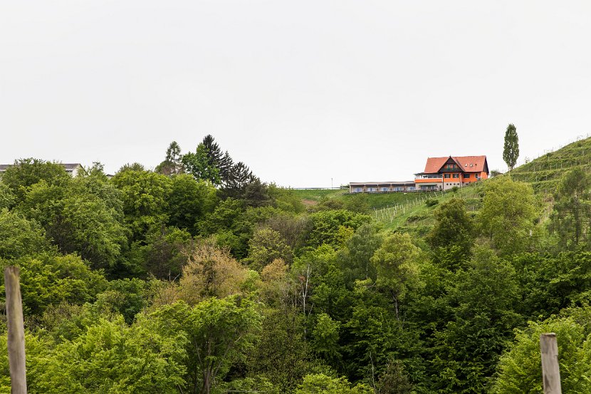 Foto_Wohlmuth-Lückl_001