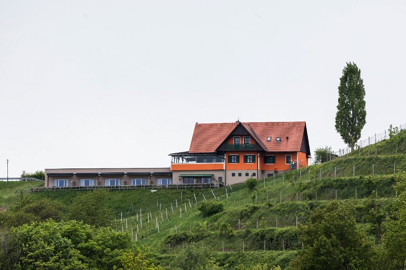 Foto_Wohlmuth-Lückl_003